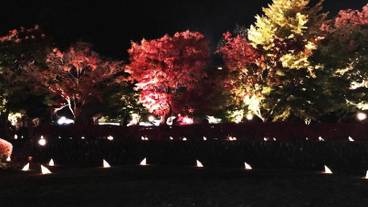 施設の敷地 / 24