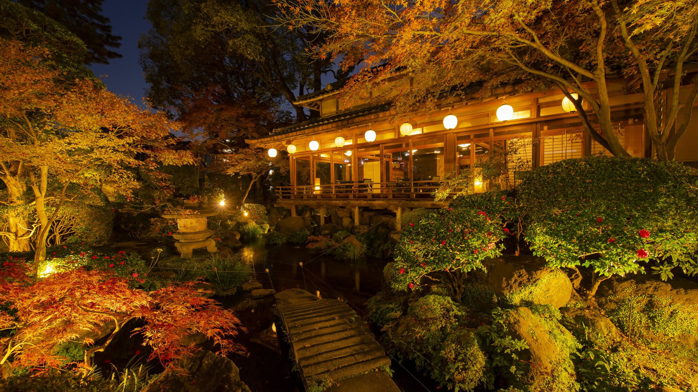 湯上り処から見える庭園