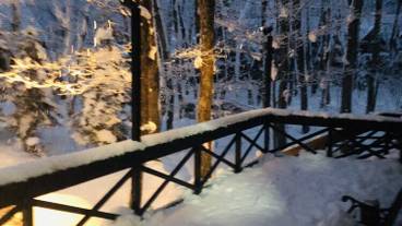 テラス / パティオ / 22