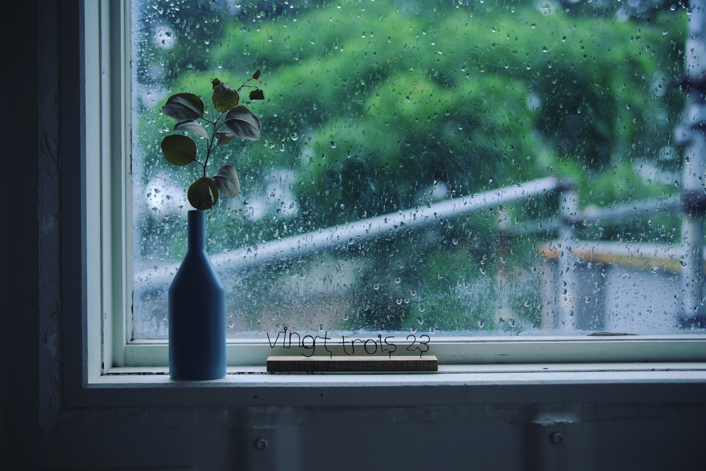 雨の日の窓際。しっとり潤いを。