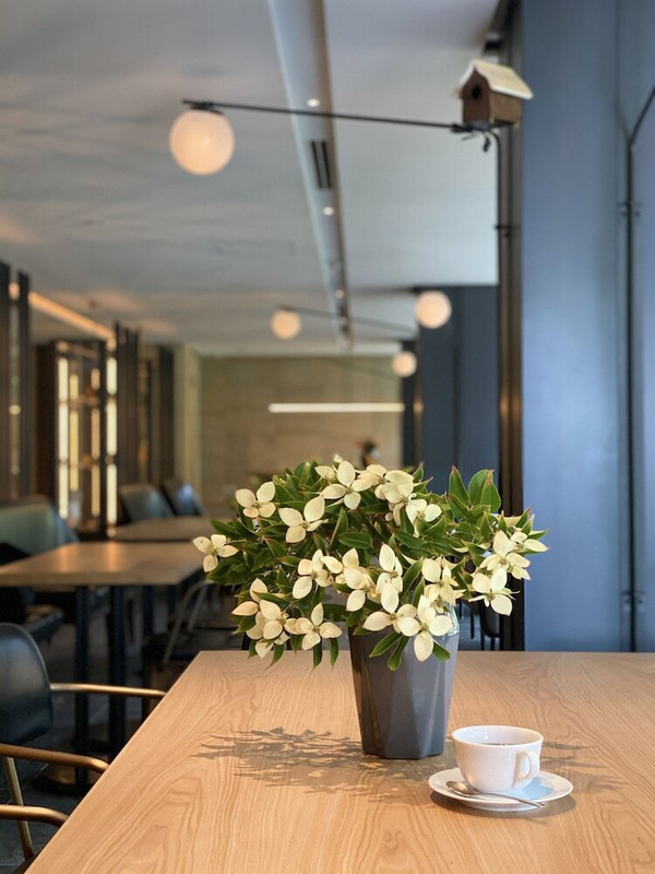 ロビー応接スペース