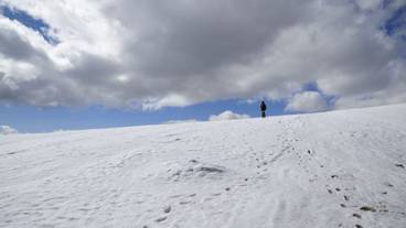 スキー ヒル / 2