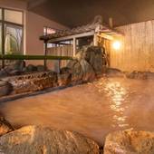 有馬温泉 陶泉 御所坊（兵庫県 旅館） / 3