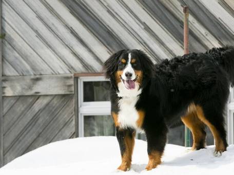 蔵王温泉 最上高湯 善七乃湯（旧：蔵王温泉 大平ホテル） / 4