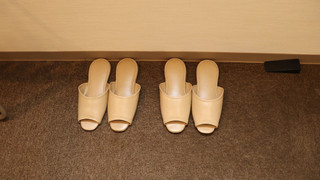 セミダブルベッド 1台, 駐車場無し, 喫煙可