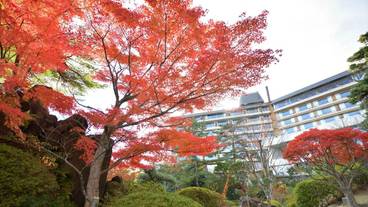 敷地内の自然 / 12