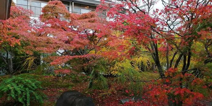 鳥取温泉 観水庭こぜにや（鳥取県 旅館） / 1