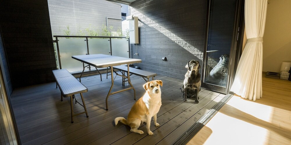 1棟まるごとペット宿泊OK！のびのび過ごせるホテル3933722