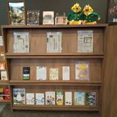 ホテルルートイン三原駅前（広島県 ビジネスホテル） / 3