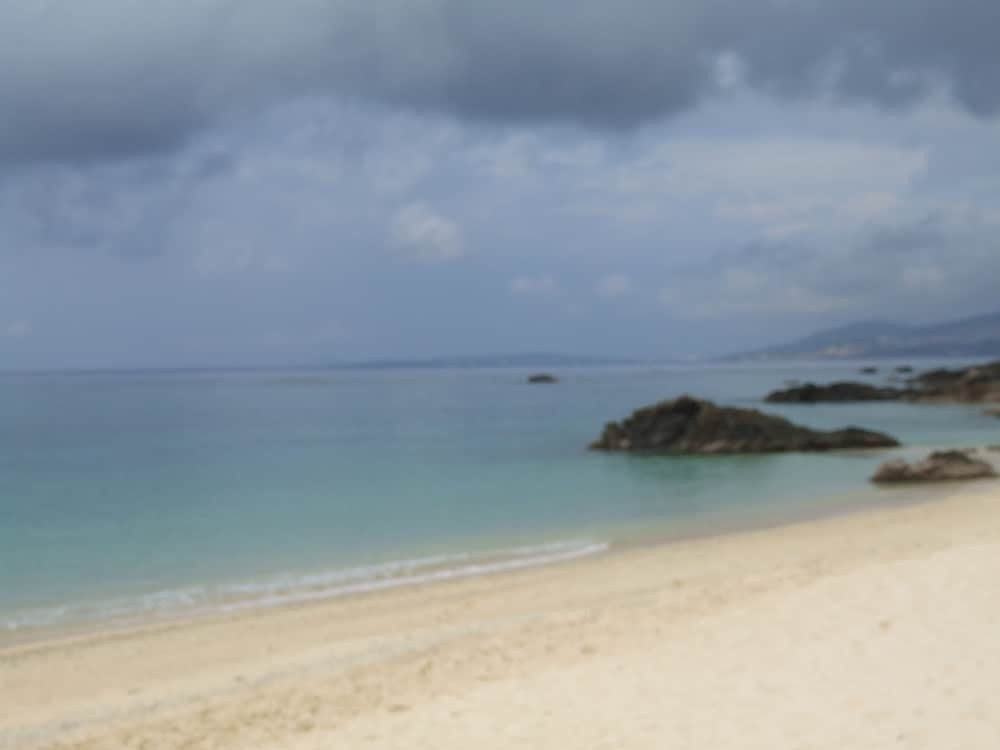 ビーチ / オーシャン ビュー