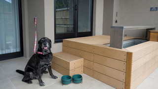 [F] 2ダブルベッド (ドッグフレンドリー) / 4名定員 禁煙