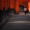 京都で異世界にタイムトリップ!不思議がいっぱいの「伏見稲荷大社」