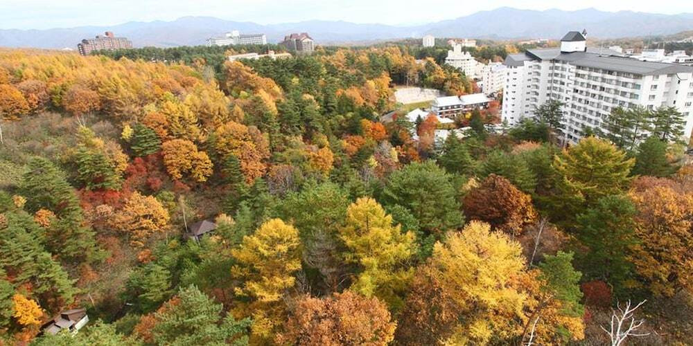 マウンテン ビュー