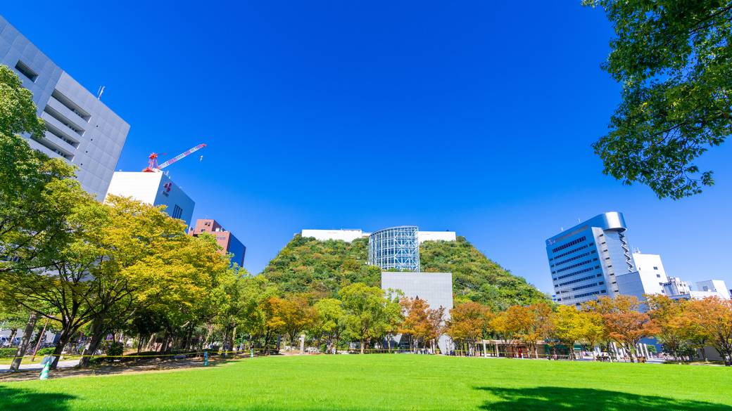 天神中央公園の芝生広場 / 2