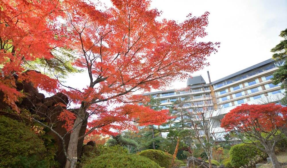 敷地内の自然 / 2