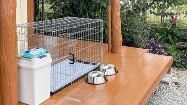 ペット用設備・サービス / 1