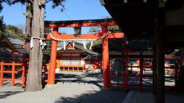 観光スポット / 9