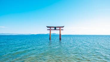 白鬚神社 湖中大鳥居 / 1