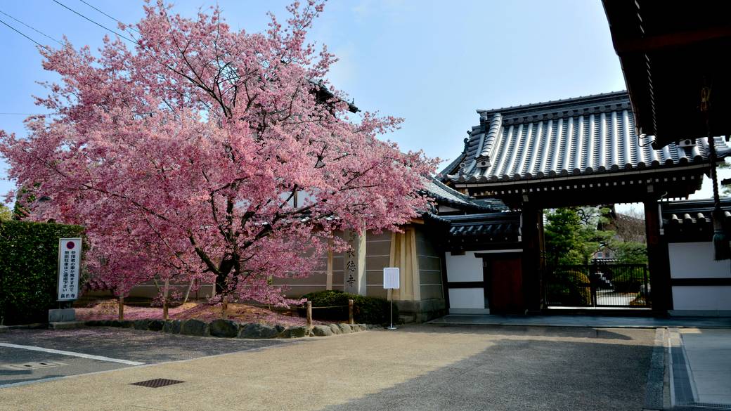 ホテル周辺を観光
京都「長徳寺」 / 2