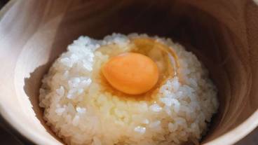 レストラン / 21