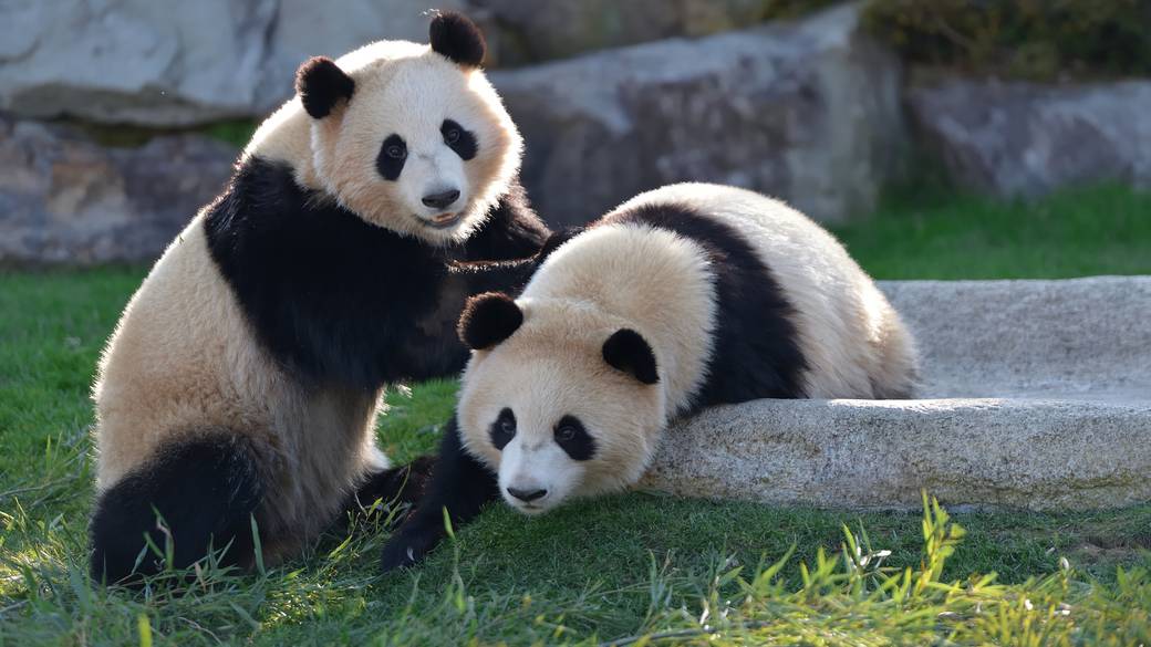 アドベンチャーワールド / 2