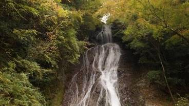 観光スポット / 9