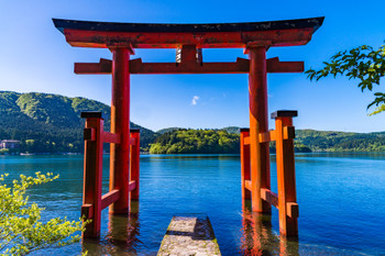 (Kanagawa) Hakone Shrine Peace Torii