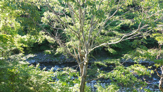 トラディショナル ツインルーム