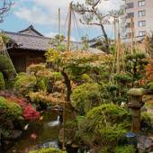 あわら温泉 伝統旅館のぬくもり 灰屋（福井県 旅館） / 5