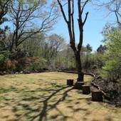 那須温泉 ペンション あいおい（AIOI）（栃木県 ペンション） / 4