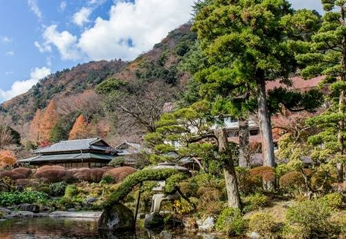 箱根湯本温泉 吉池旅館（神奈川県 旅館） / 1