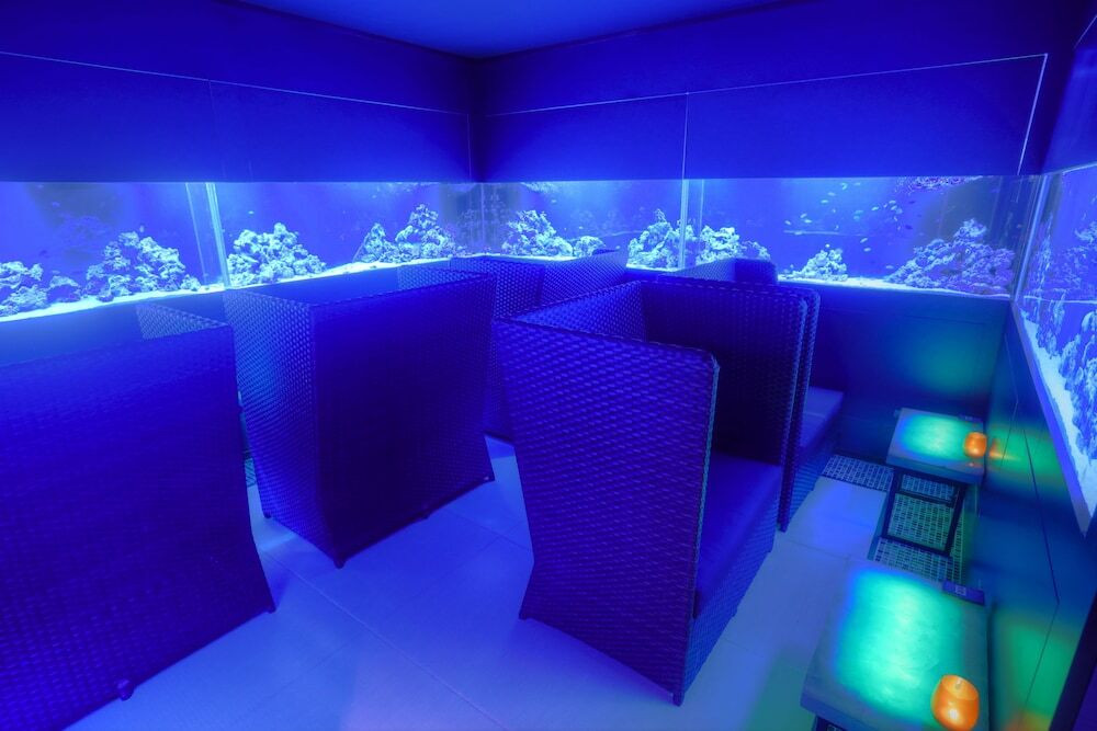 アクアリウムバーで熱帯魚に癒されるひと時4007339