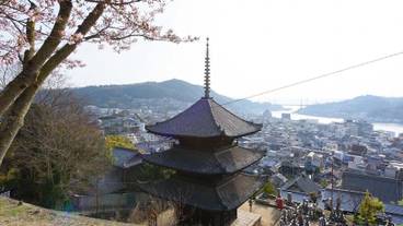 施設からの眺望 / 3