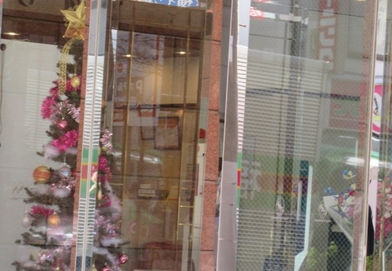 入口にツリーも