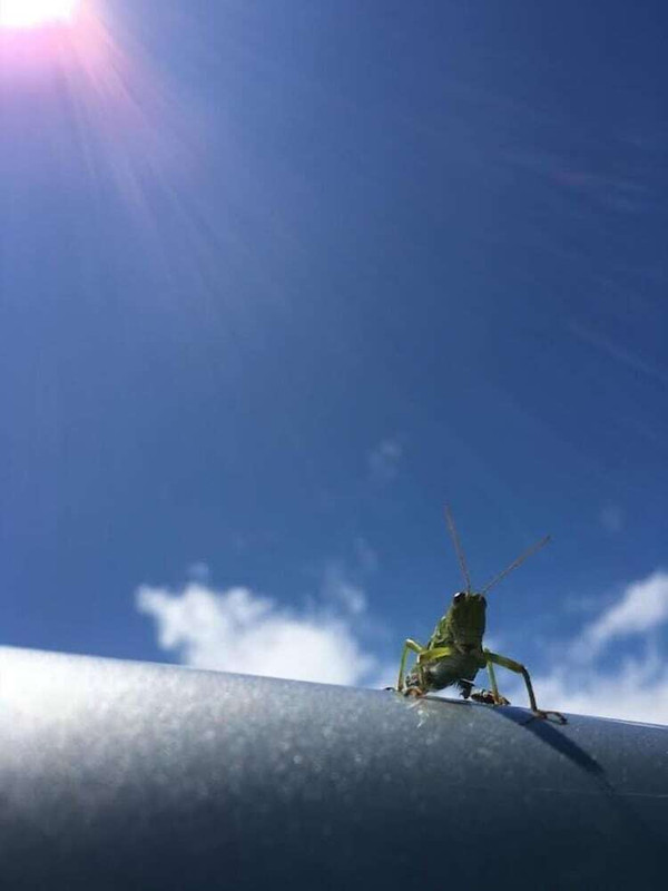 スノー スポーツとスキー