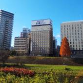 東横イン盛岡駅南口駅前（岩手県 ビジネスホテル） / 4