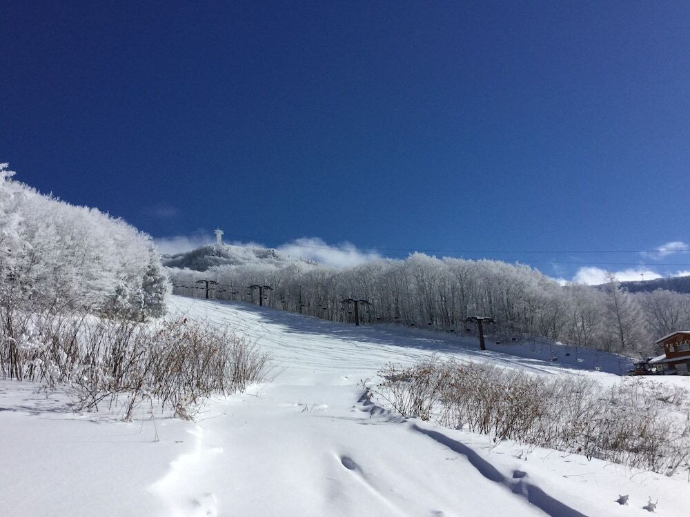 施設からの眺望
