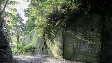 施設の敷地 / 18