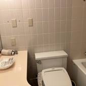 JRホテルクレメント徳島(徳島県 シティホテル) / 4