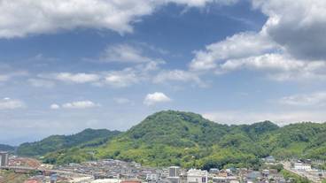 シティ ビュー / 11