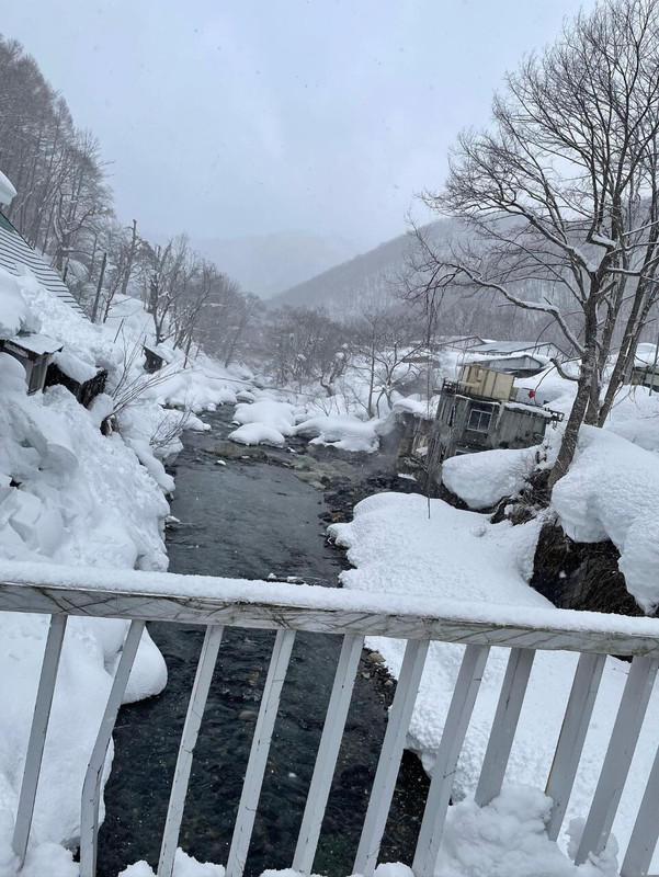 saaayeah884さんの写真 / 2