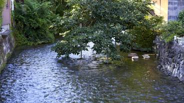 施設からの眺望 / 39