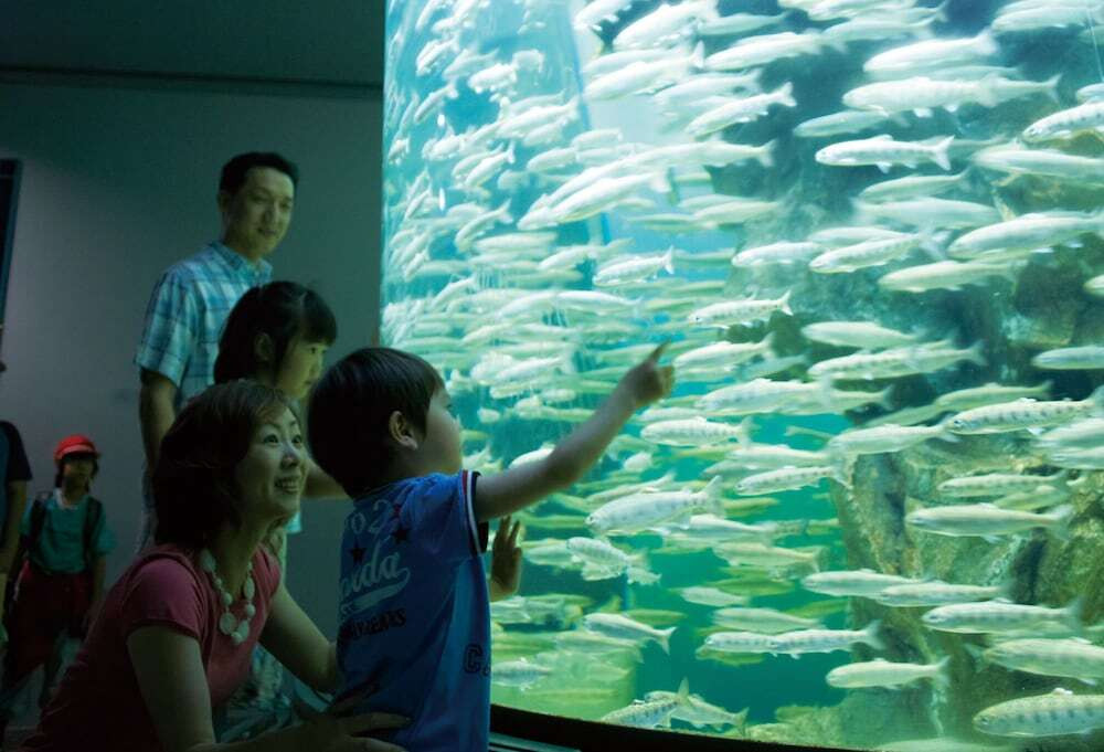 ファミリーにやさしいホテル・旅館で、琵琶湖の旅を満喫！4377249