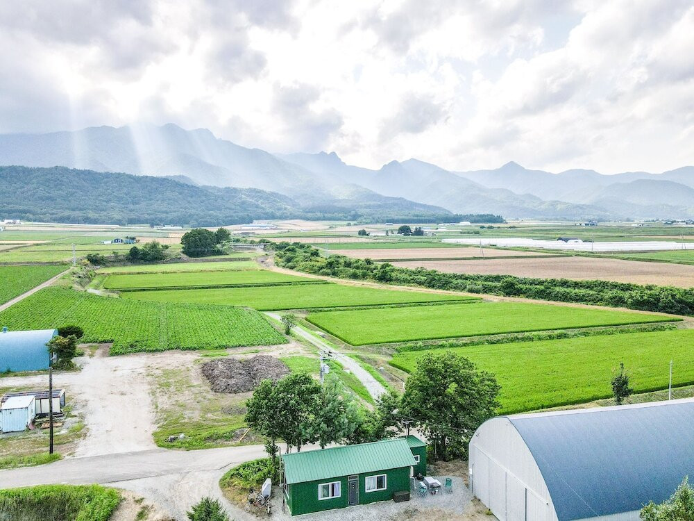 マウンテン ビュー