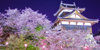 奈良の都の八重桜～あまりに美しいおすすめ花見スポット7選