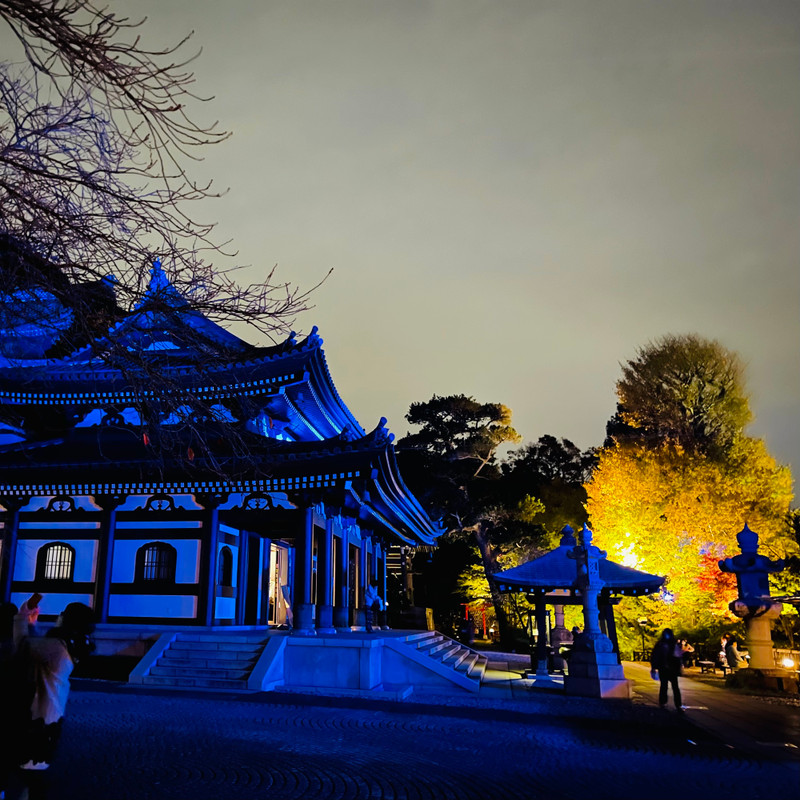 junsuk0804さんの写真 / 2