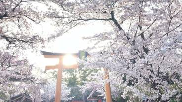 シティ ビュー / 11