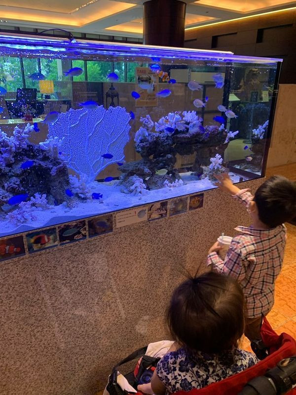 sanomi_tokyoさんの写真 / 1