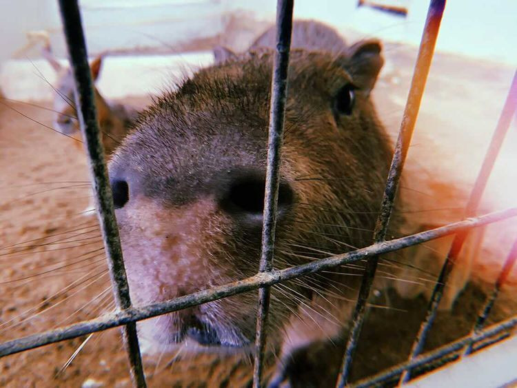 econeco0923さんの写真 / 4