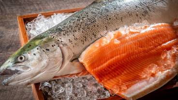 ビュッフェ / 19